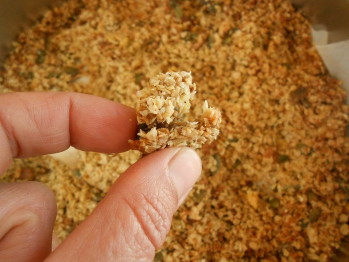 currygranola (2)