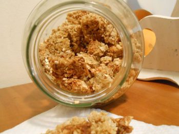 applegranola (5)